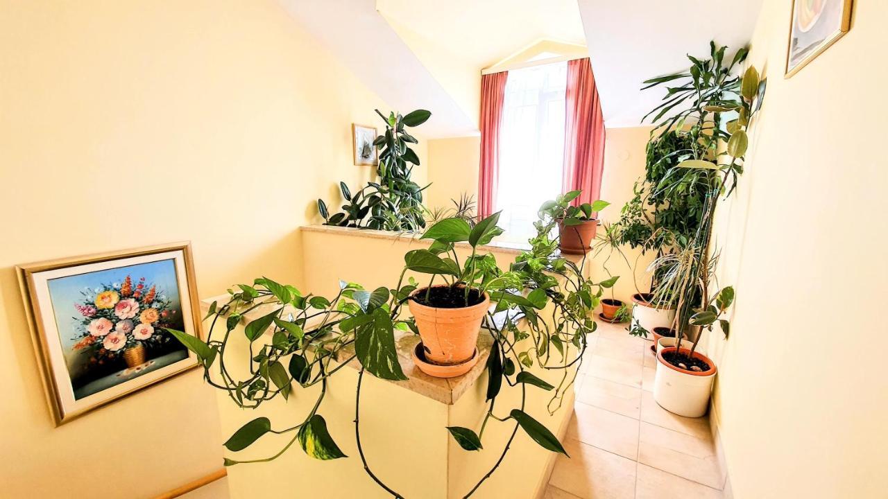 Villa Palcic โนวาลยา ภายนอก รูปภาพ